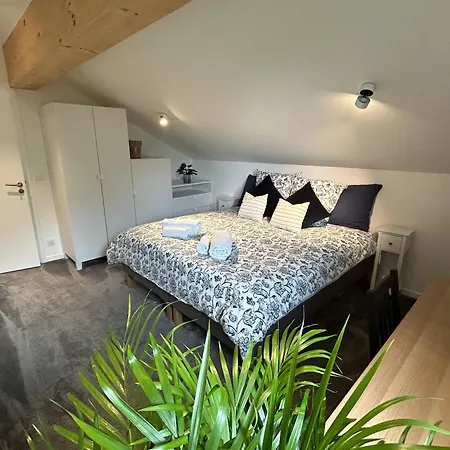 New Modern Mont Blanc Mountain Views Les Houches